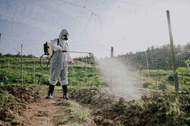 Best Local Pest Control Services  in Lepanto, AR