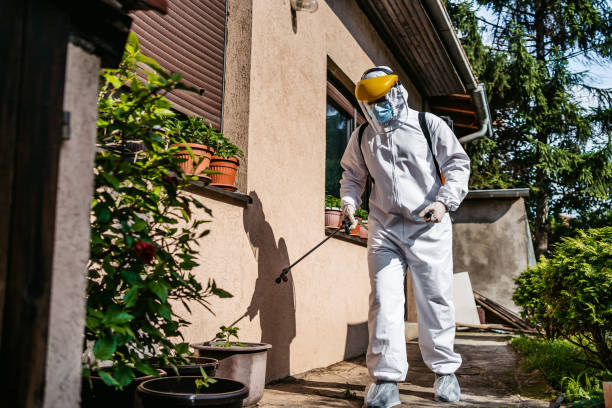 Professional Pest Control in Lepanto, AR