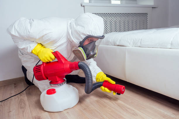 Best Commercial Pest Control Services  in Lepanto, AR