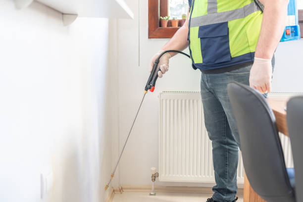 Best Best Pest Control Companies  in Lepanto, AR