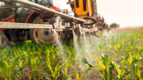 Best Commercial Pest Control Services  in Lepanto, AR